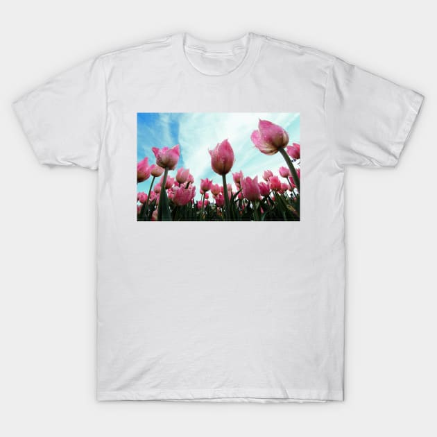 Pink Tulips T-Shirt by ikshvaku